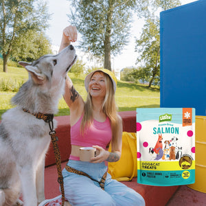 UBite Adult Dog and Cat Salmon Freeze Dried Treats, 16 oz.