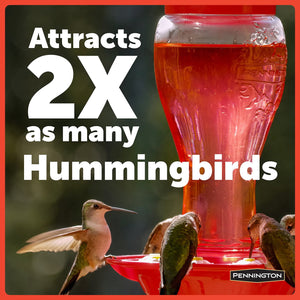 Pennington Hummingbird Feeder and Nectar Kit