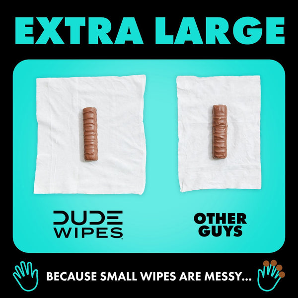 DUDE WIPES XL Flushable Wipes, Mint Chill, 8 ct., 400 wipes
