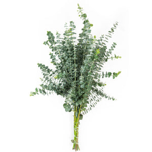 Member's Mark California Greens Sampler (10 bunches)