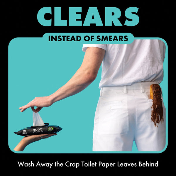 DUDE WIPES XL On-the-Go Flushable Wipes, Mint Chill, 4 ct., 120 wipes