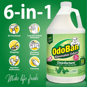 OdoBan Disinfectant & Odor Eliminator, Eucalyptus 1 gal. concentrate + 32 oz. Ready-to-Use Spray