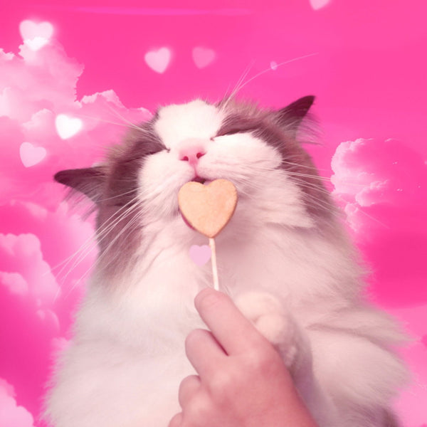 BONKERS Purrpops, Freeze Dried Chicken Flavored Lollipop Cat Treats, 36 pk.