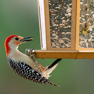 Harvest Seed & Supply Birder's Medley Wild Bird Food, Premium Mix of Bird Seed, 20 lbs.