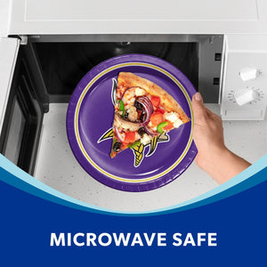 Minnesota Vikings NFL Round Paper Plates, 10