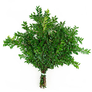 Member's Mark Western Greens Mix 5 bunches