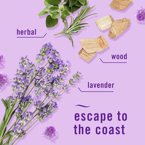 Febreze Plug Air Freshener, Mediterranean Lavender + Linen & Sky, 5 refills, 4.35 fl. oz.