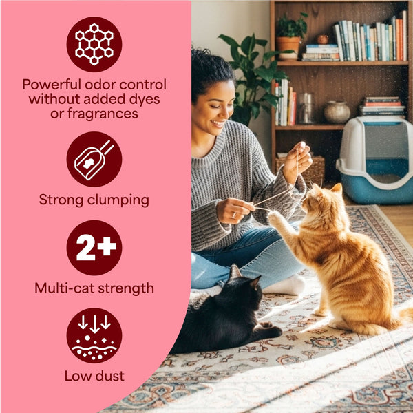 Fresh Step, Simply Unscented Clumping Cat Litter, 42 lbs.