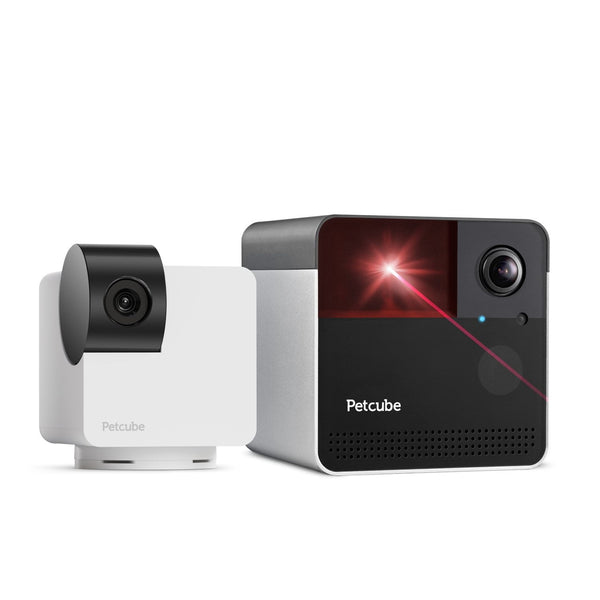 Petcube Cam 360 + Play 2 Bundle w/3-Month Subscription
