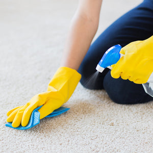 Member's Mark Commercial Carpet Cleaner Concentrate, 1 gal., 4 pk.