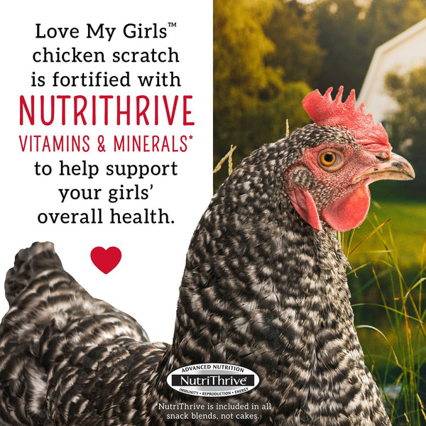 Love My Girls 5-Grain Corn-Free Scratch Gourmet Chicken Food, 40lbs