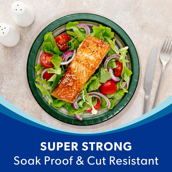 South Florida Bulls NCAA Round Paper Plates, 10