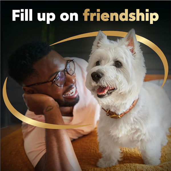 Cesar Classic Loaf in Sauce Wet Dog Food Variety Pack, 3.5 oz., 48 ct.