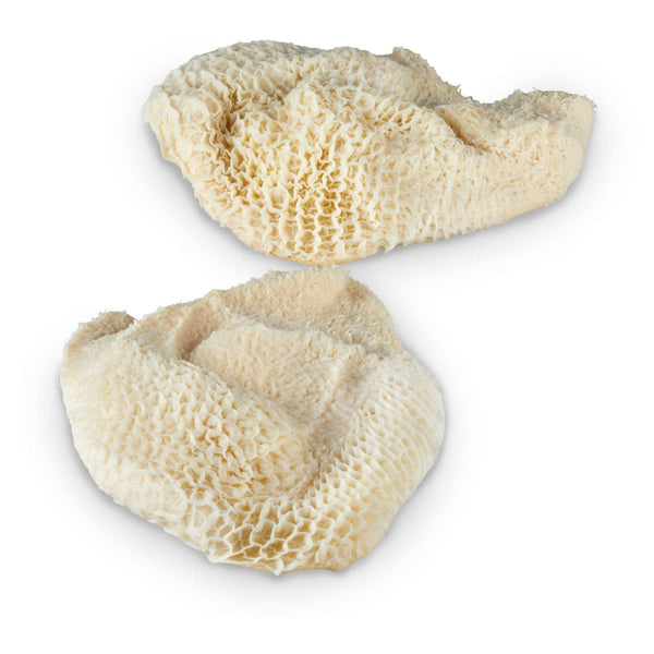 Beef Honeycomb Tripe, Cryovac, Case, priced per pound