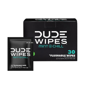 DUDE WIPES XL On-the-Go Flushable Wipes, Mint Chill, 4 ct., 120 wipes