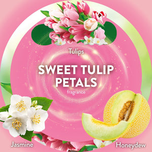Air Wick Plug In Scented Oil Air Freshener, Sweet Tulip Petals, 1 warmer + 6 refills