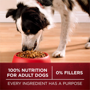 Purina ONE SmartBlend True Instinct Real Turkey & Venison, Adult Dry Dog Food, 40 lbs.
