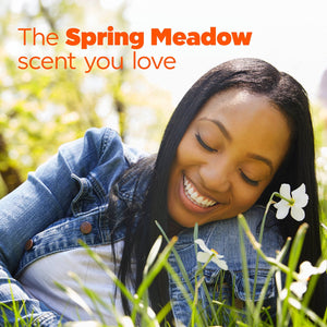 Tide PODS Laundry Detergent Pacs, Spring Meadow, 156 ct.