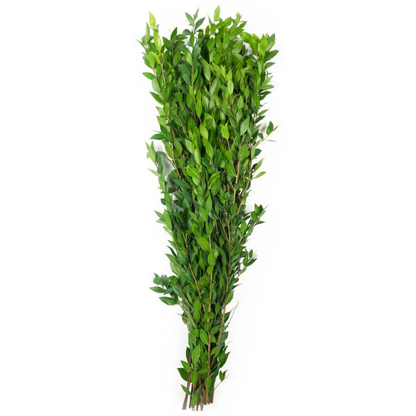 Member's Mark California Greens Sampler (10 bunches)