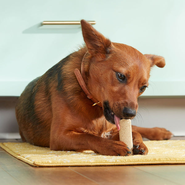 Rachael Ray Nutrish Soup Bones Dog Treat Variety Pack, Beef & Chicken, 11 ct., 2 pk.