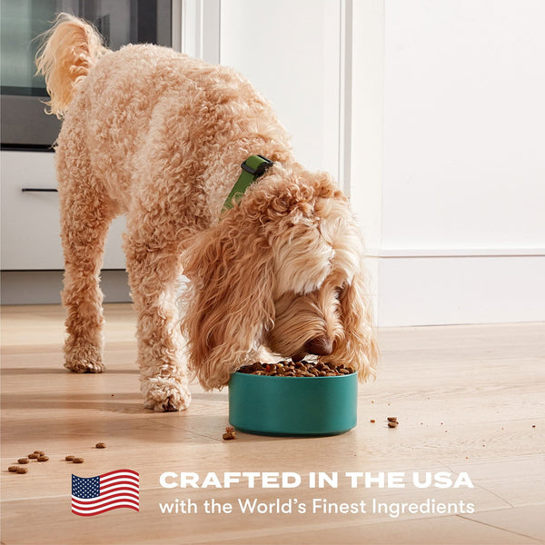 Jinx Homeamdes Variety Pack, Wet Dog Food Pack , 9 oz., 12 ct.