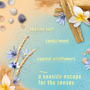 Febreze PLUG Scented Oil Starter Kit, Warmer +  2 Southern Lilac Mornings + 1 Warm Ocean Breeze Refills