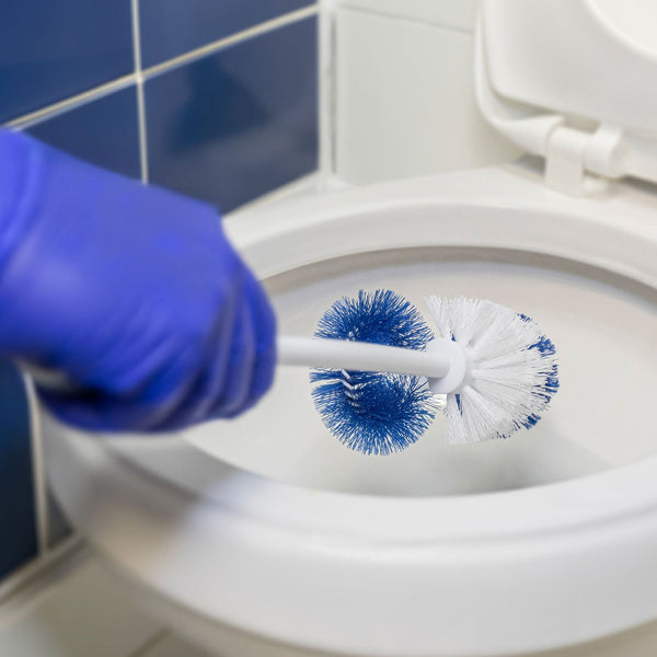 Member's Mark Toilet Bowl and Under Rim Brush, 2 ct.