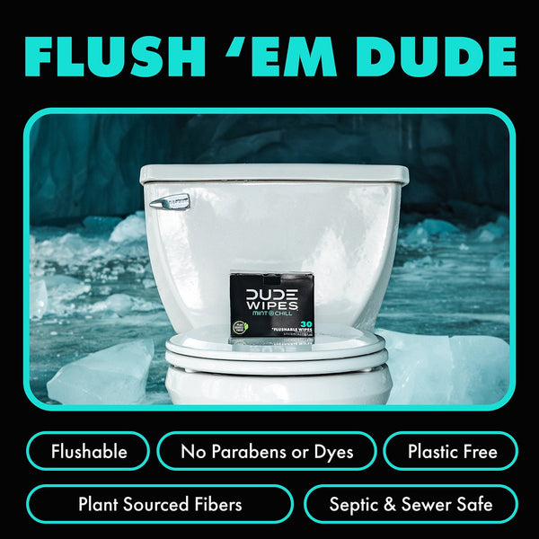 DUDE WIPES XL Flushable Wipes, Mint Chill, 8 ct., 400 wipes