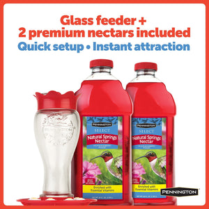 Pennington Hummingbird Feeder and Nectar Kit