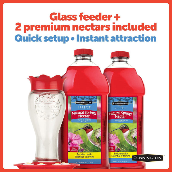 Pennington Hummingbird Feeder and Nectar Kit