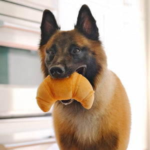 P.L.A.Y Pet Plush Toys, Canine Café, 4 pc., Bundle