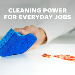 Scotch-Brite Zero Scratch Scrub Sponges, Individually Wrapped 24 ct.