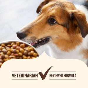 Rachael Ray Nutrish Real Beef, Pea & Brown Rice, Dry Dog Food, 50 lbs.