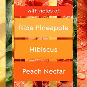 Glade Automatic Spray Air Freshener Refills, Hawaiian Breeze and  Exotic Tropical Blossoms, 4 ct.