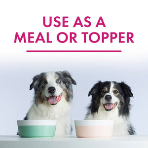 Member's Mark Turkey Stew with Vegetables Wet Dog Food, 11 oz., 24 boxes