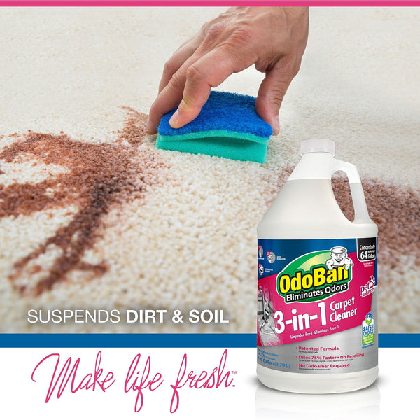 OdoBan 3-in-1 Concentration Carpet Cleaner Solution, Fragrance Free 1 gal., 4 pk.