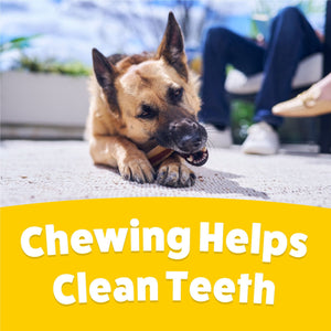 Purina Busy with Beggin’ Twist’d Adult Dog Chew Bone Treats - 18 ct. Pouch