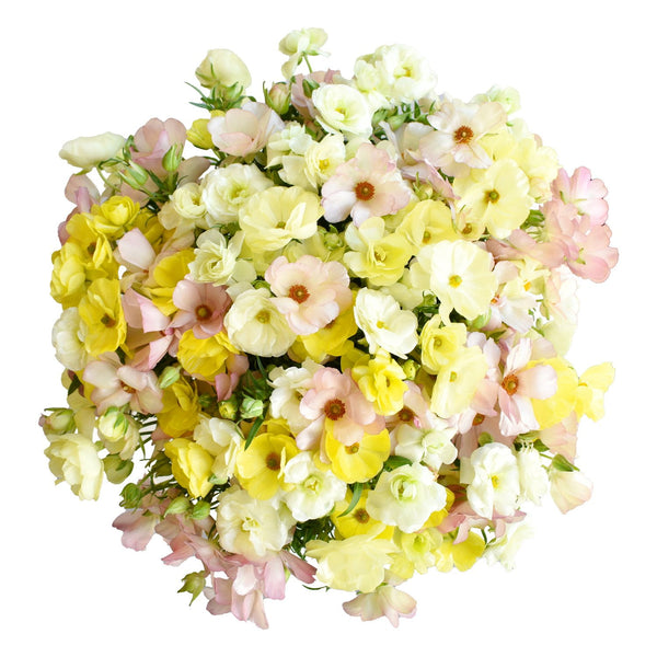 Member's Mark Butterfly Ranunculus, choose stem count