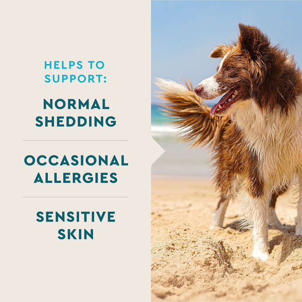 VETIQ Skin & Coat Soft Dog Chews, Hickory Smoke Flavored, 60 ct., 2 pk.