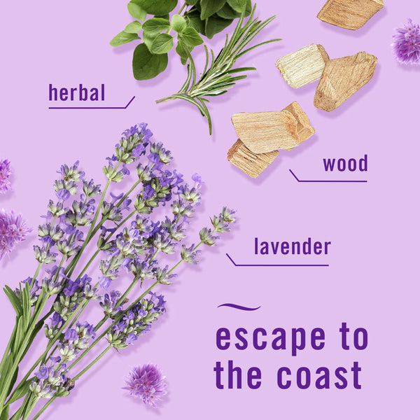 Febreze Plugs Air Freshener Refills, Mediterranean Lavender + Downy April Fresh, 5 refills