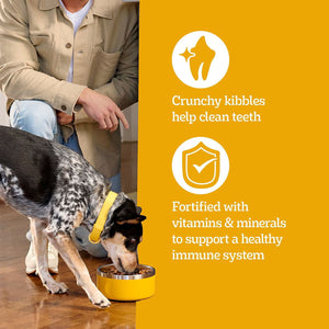 Pedigree Roasted Chicken and Vegetable, Adult Dry Dog Food, 50 lbs.