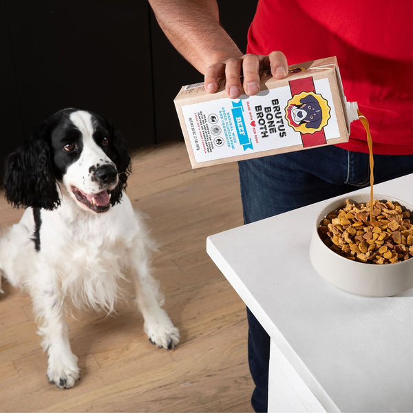 Brutus Bone Broth, Beef Bone Broth Adult Dog Meal Topper, 32 oz., 3 pk.