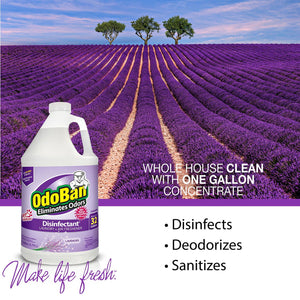 OdoBan Odor Eliminator and Disinfectant Concentrate, 1 gal., 4 pk., Lavender