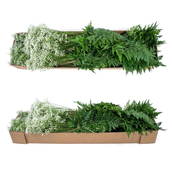 Member's Mark Gypsophila and Leatherleaf 10 bunches