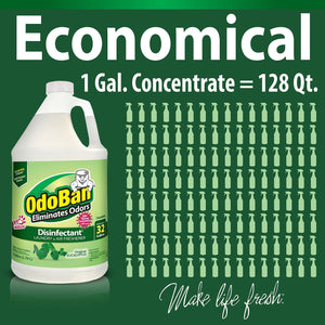 OdoBan Odor Eliminator and Disinfectant Concentrate, 4 pk., Choose Scent