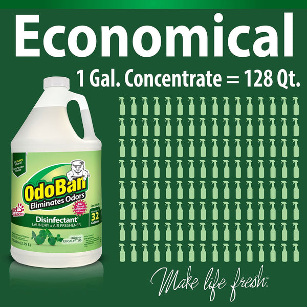 OdoBan Odor Eliminator and Disinfectant Concentrate, 4 pk., Choose Scent