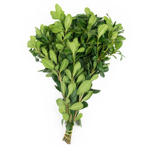 Member's Mark California Greens Sampler (10 bunches)