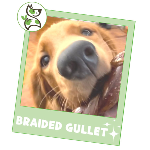 Nature Gnaws Beef Braid Dog Treat Chews, 1 lb.