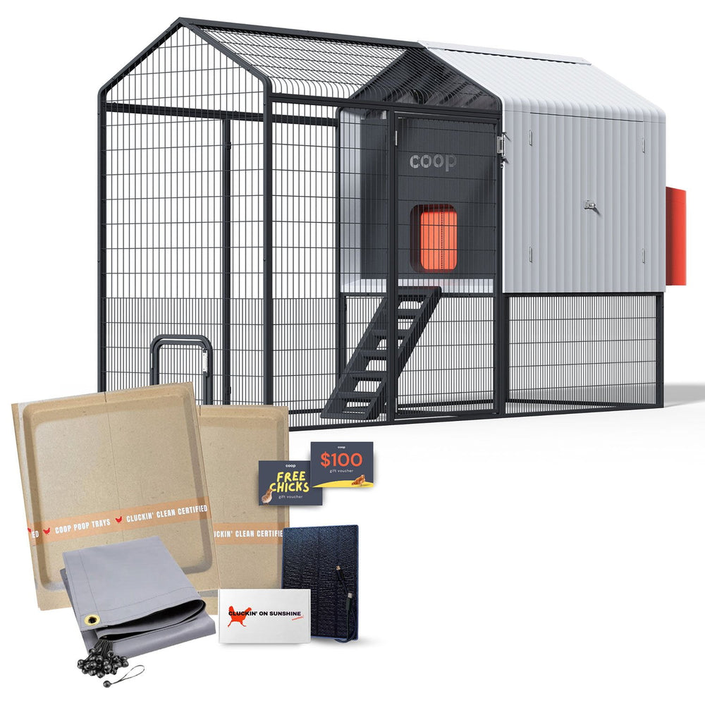 coop Smart Chicken Coop & Steel Run