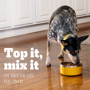 Pedigree Choice Cuts in Gravy Adult Wet Dog Food, Variety Pack, 3.5 oz., 54 ct.